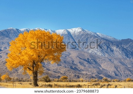 Scenic view of Sierra Nevada Mountain. fall foliage landscape. California,USA. Royalty-Free Stock Photo #2379688873