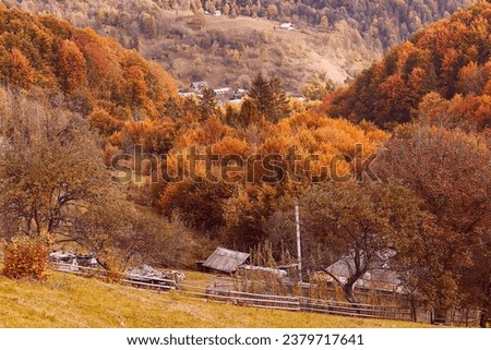 Golden atmospheric autumn rustic background, ukrainian Carpathians village with houses on the hills.