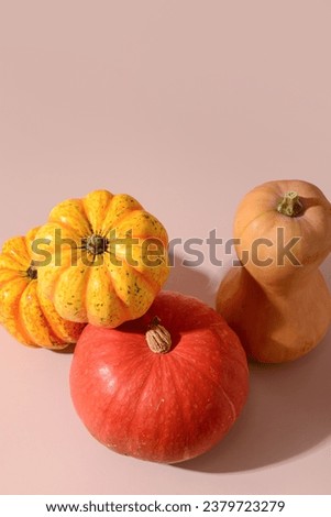Different fresh pumpkins on beige background