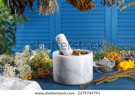 Mortar with pestle and many different herbs on blue wooden table Royalty-Free Stock Photo #2379749791
