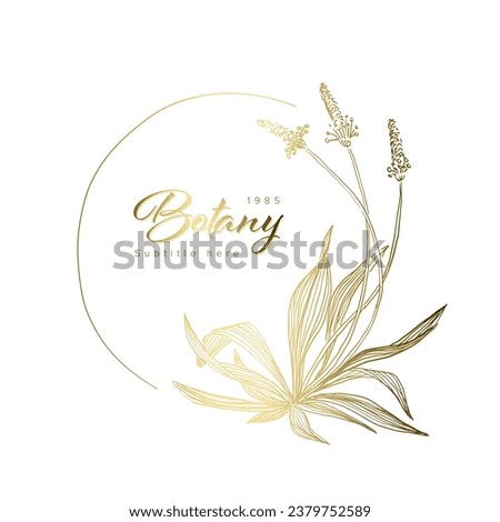 Minimalist light floral emblem sign geometry frame template made from simple herb flower and leafs for wedding invitations product print or emblem sign on white background