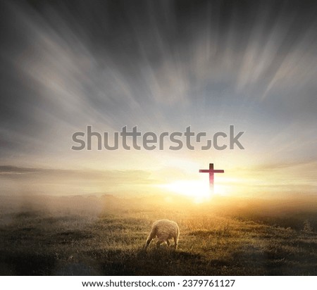 a lost sheep on Silhouettes of crucifix symbol on mountain with bright sunbeam on the colorful sky background