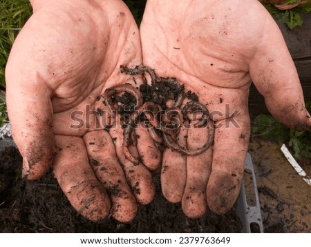 Earthbound Hands: Embracing Nature's Grubby Wonders Royalty-Free Stock Photo #2379763649