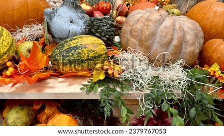 autumn background from pumpkin and fruits. Halloween, decoration of different types of pumpkins, apples, pears and hay and a gray clay hedgehog