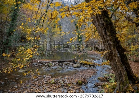 Autumn landscapes, waterfalls and lakes, leaves