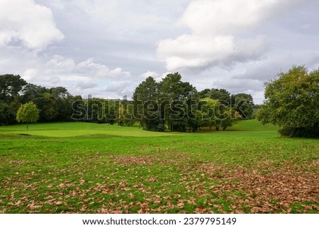 view over scenic golf course on autumn day. brown leaves on golf course. seasonal landscape 