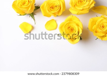 Beautiful yellow roses on white background, flat lay. Space for text