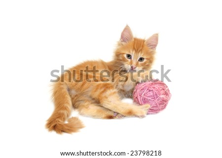 cute red kitten with pink wool ball against white background