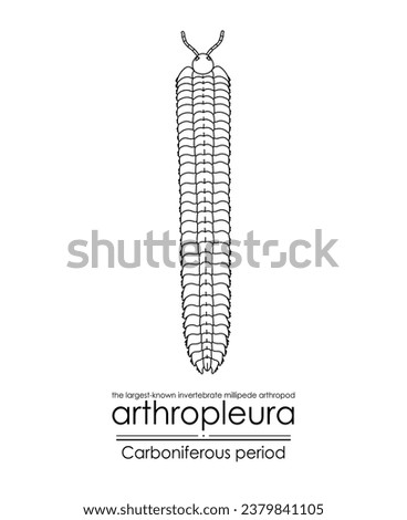 Arthropleura, the largest-known invertebrate, millipede arthropod, extinct creature from the Carboniferous Period, black and white line art illustration. Ideal for coloring and educational purposes