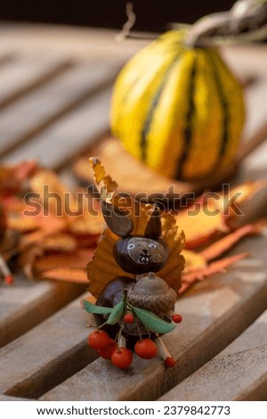 Funny chestnut squirell animal on wooden bench, ripened pumpkins on background, traditional autumnal handcraft with children