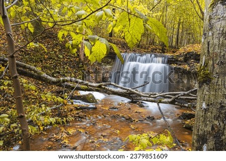 A shallow river with a waterfall flows into the canyon ravine. Water falls over two sandstone cascades. Yellow autumn leaves on land and in water. The third largest in Latvia - Dauda waterfall