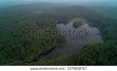 An aerial view of a forest and pond on a hazy day due to wildfires