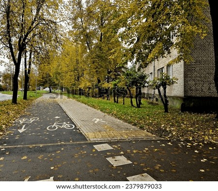 Autumn in city, with green and yellow trees and side walk