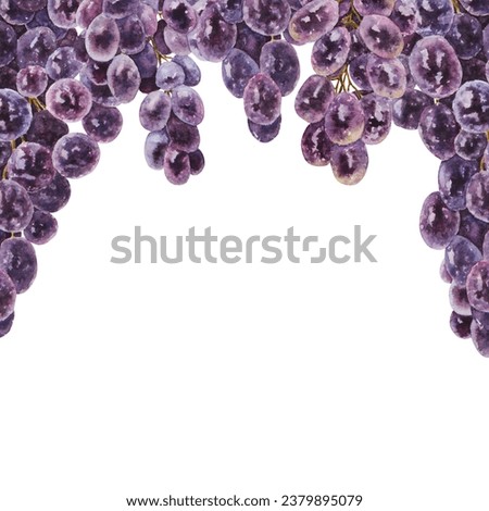 Frame of dark grapes. Watercolor hand drawn botanical illustration. Ingredient in wine, vinegar, juice, cosmetics. Clip art for menus of restaurants, cafes, packaging of farm goods, vegan products
