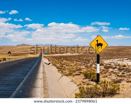 Picturesque llama warning road sign beside an asphalt highway, Salinas Y Aguada Blanca National Reserve, Arequipa region, Peru
