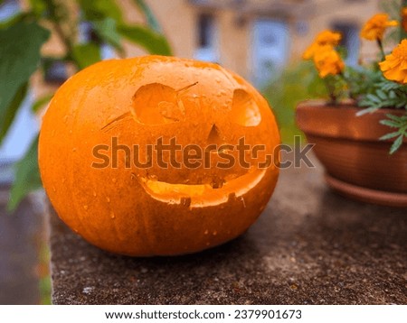 Pumpkin with carved face for Halloween