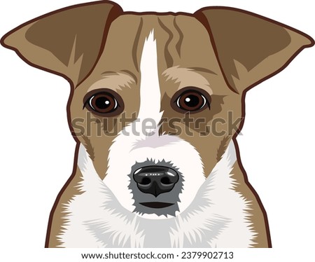 Jack Russell Terrier Dog Face isolated vector illustration