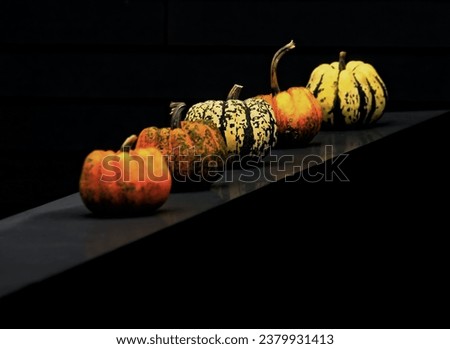 Pumpkin Orange. Autumn concept with pumpkin. High-quality photo