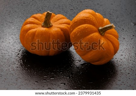 Pumpkin Orange. Autumn concept with pumpkin. High-quality photo