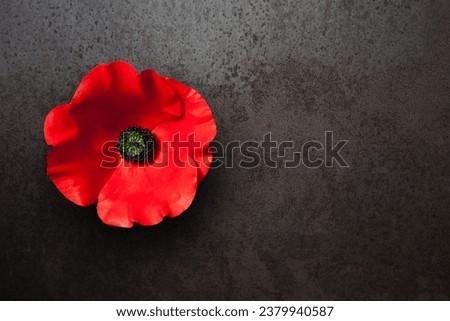 Poppy flower on rusty iron background with place for your text. Decorative flower for Remembrance Day. Memorial Day. Veterans day.
