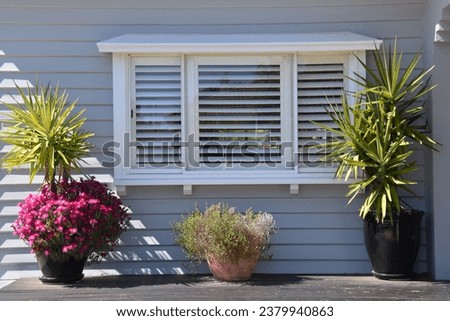 BAY WINDOW PROTRUNING FROM EXTERIOR WALL - A period suburban home with a wooden framed window sitting out with timber supports and roofing above. Plantation shutters and bright colored pot plants Royalty-Free Stock Photo #2379940863