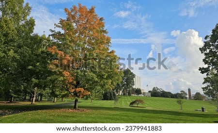 Golden autumn: Vibrant yellow leaves adorning a tree, capturing the essence of fall's beauty. Autumn landscape