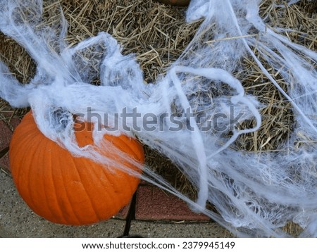 Pumpkins and Hay Bale with Spider Web