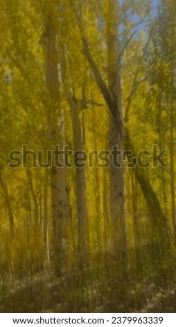 Intentional blurred abstract of forest  trees artwork for creative graphic design or wall art or background