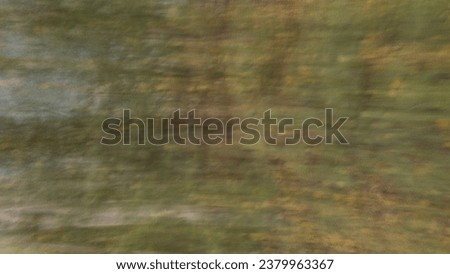 Intentional blurred abstract of forest  trees artwork for creative graphic design or wall art or background