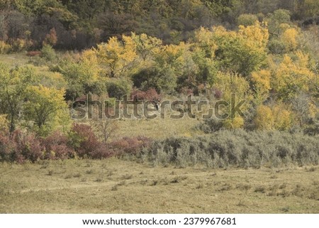 Dirt bike riders racing through valley with autumn foliage in background