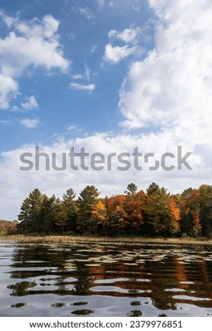 Autumn landscape by a lake