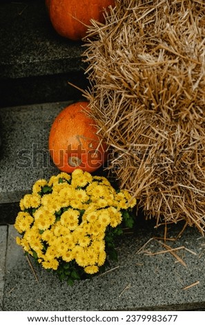 Halloween pumpkin decorations orange and yellow