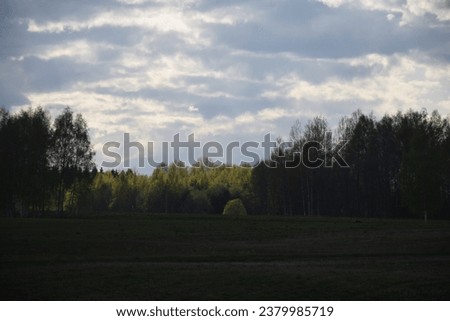 Beautiful landscape with a field of green grass and a cloudy sky in summer. Stock Photo
