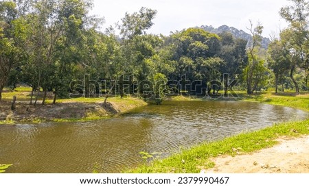 Landscape view of green plants and lake in Taman Tasik Tanjung Sura, Dungun in the evening.