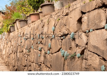 In sha xi Ancient Town, along the Tea Horse Ancient Road, you can find buildings with succulent plants growing in the stone crevices Royalty-Free Stock Photo #2380023749