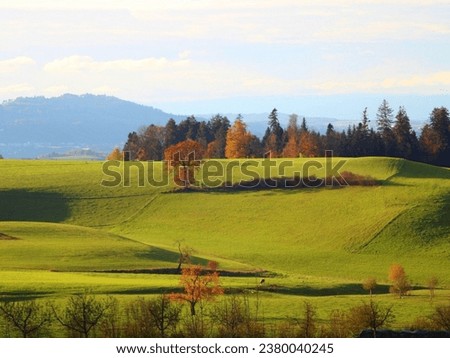 Fantastic rural area with fresh green pasture and blue sky on a sunny day. Summertime photo wallpaper. Splendid nature photography. Discover the beauty of earth.
