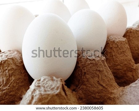 paper texture, egg carton, free-range chicken carton containing chicken eggs