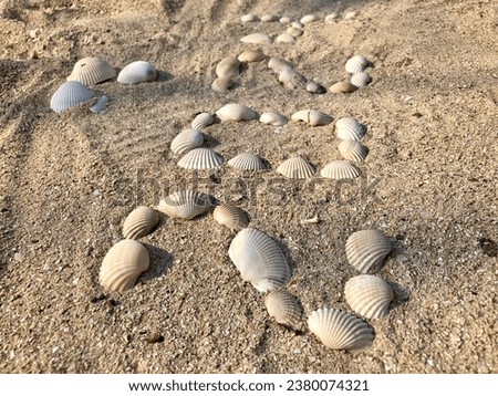 Happy New Year concept. 2024 shell arrangement on the sand surface.