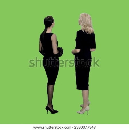 Back view two adult women in black dresses standing and watching at something on green background, Chroma key