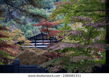 Autumn scenery of a samurai residence