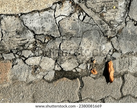 a crack in the pavement.