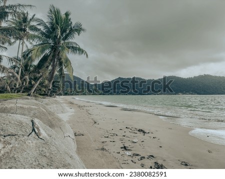 Vintage look of coconut trees at the sandy beach. Picture shot on Koh Chang Island, Thailand.