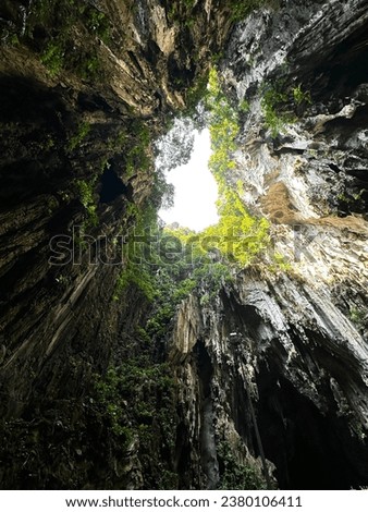 Lush greenery inside Batu Caves, with steep cavern walls opening to the sky above.