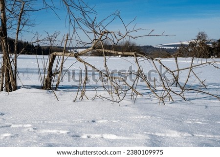 Lots of snow in nature, with trees and blue sky in the high Rhoen, Hesse, Germany