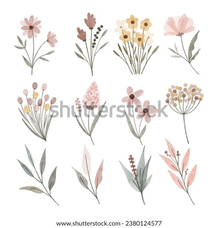 Watercolor Illustration set of flowes and leaves
