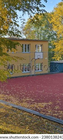 Autumn scene on the school basketball court.