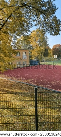 Autumn scene on the school basketball court.