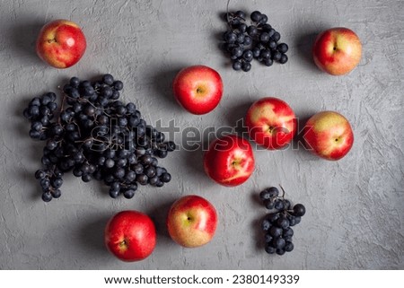 Dark bunches of grapes and red apples lie on a gray concrete background from above
