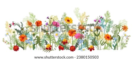 Horizontal autumn’s border: marigold, thistles, gerbera, daisy flowers, small green twigs, red berries on white background. Digital draw, illustration in watercolor style, panoramic view, vector Royalty-Free Stock Photo #2380150503