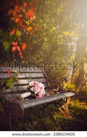 beautiful autumn day, bench, and relax